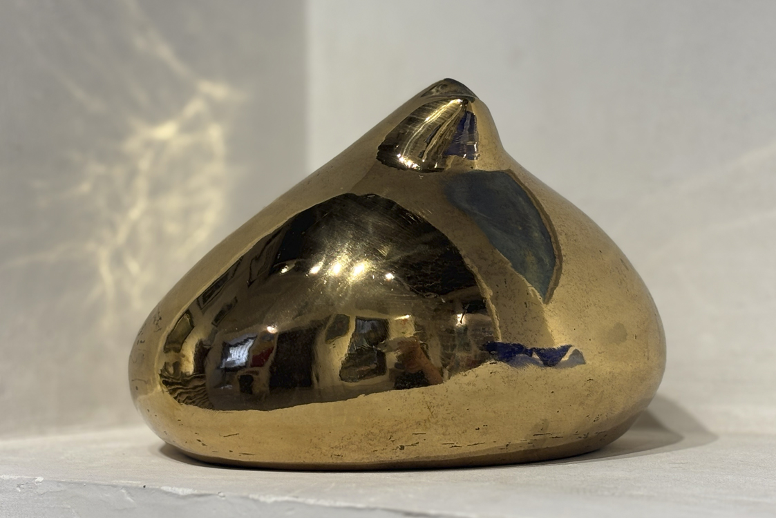 Golden Pigeon